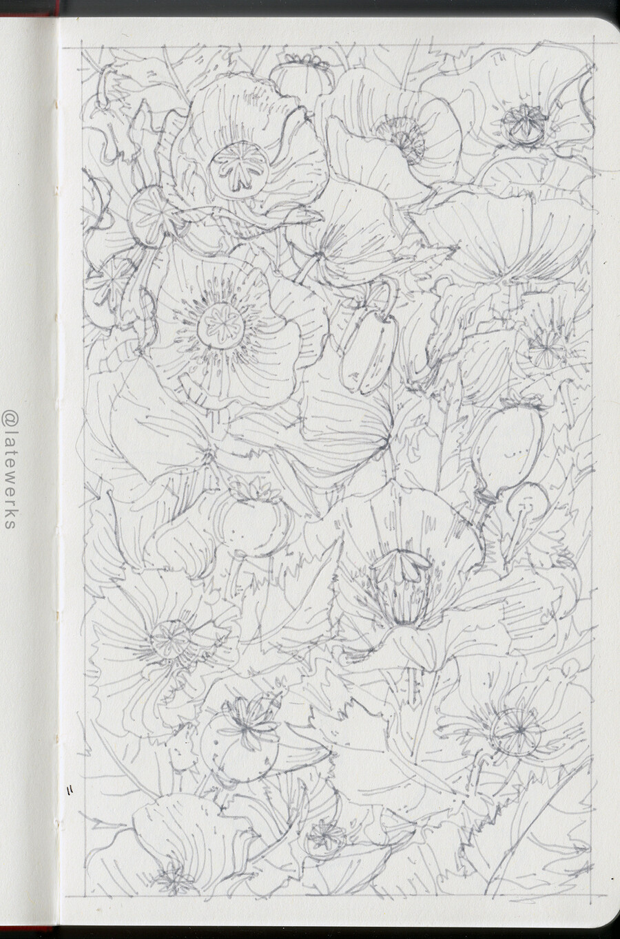 First page of sketchbook poppies