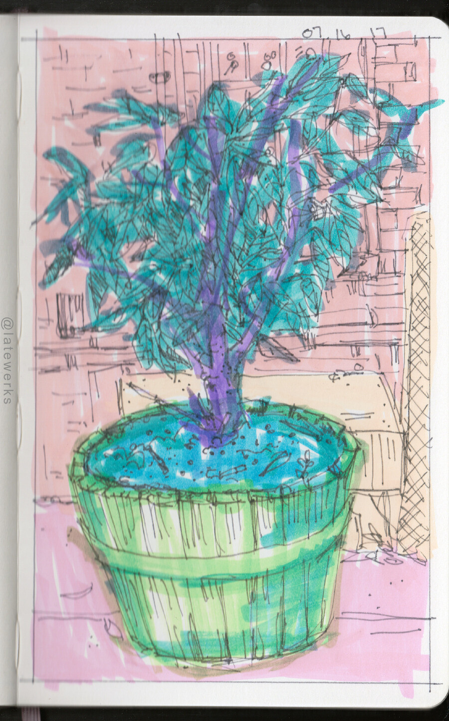 Plant, back yard, Crown Inn