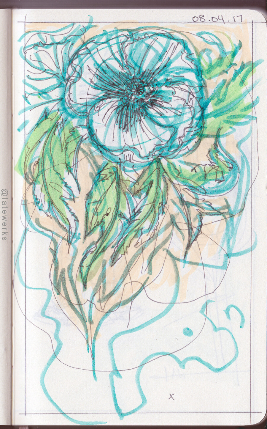 Poppies
